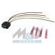 PIECES POUR SYSTEMES DE GESTION MOTEUR